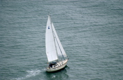 DSC_4048
