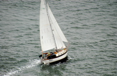 DSC_4084