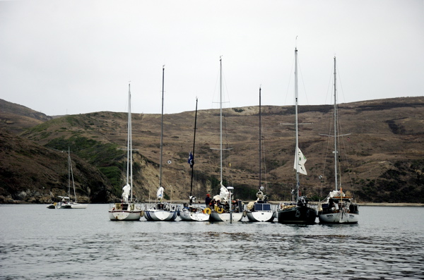 DSC_6916