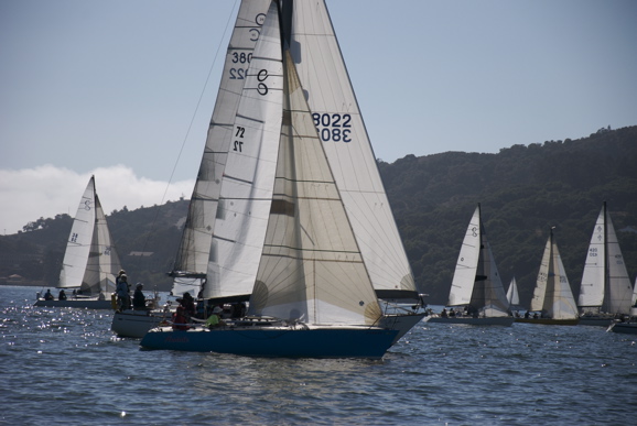 DSC_8560