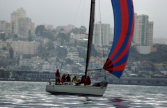 DSC_0335