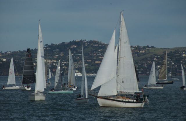 DSC_1690