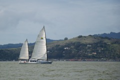 DSC_9460