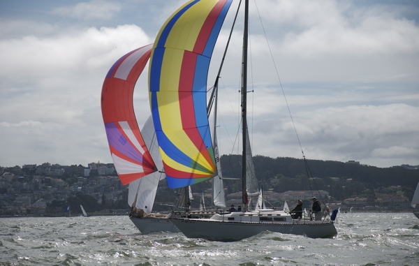 DSC_0731
