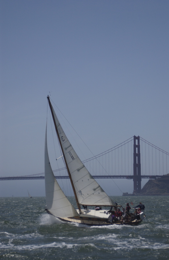 DSC_2985