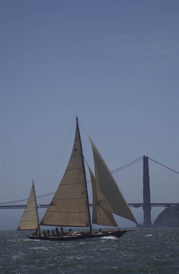 DSC_3035