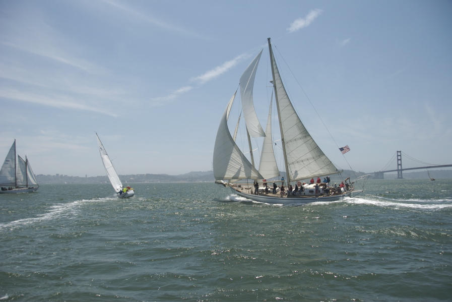 DSC_1974