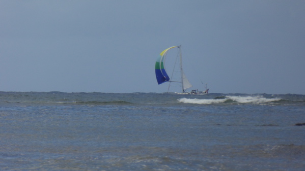 P1000235