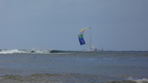 P1000236