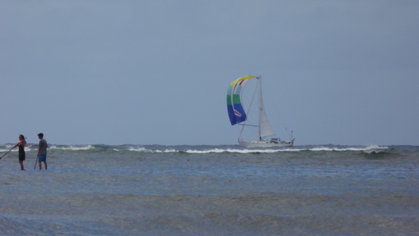 P1000238