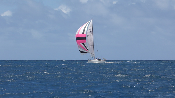 P1000208