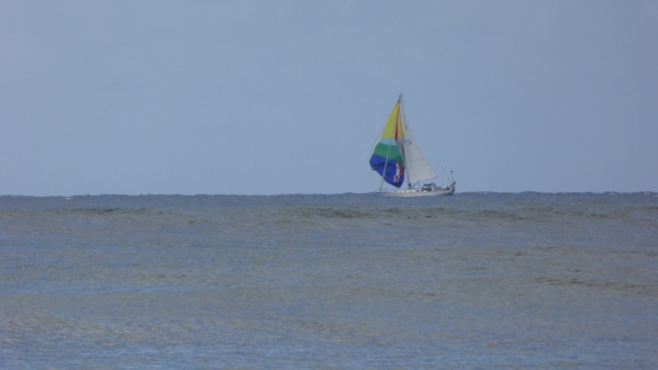 P1000246