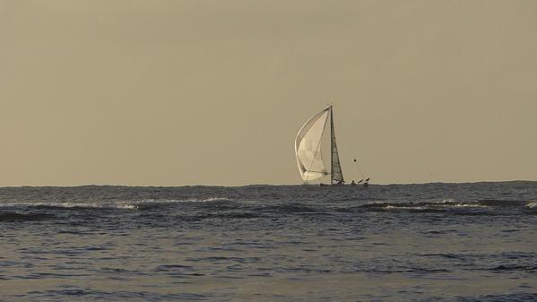 P1000285