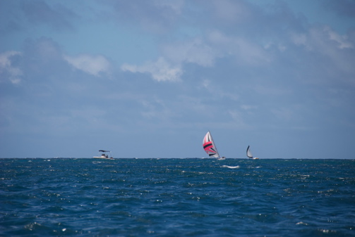 DSC_4383