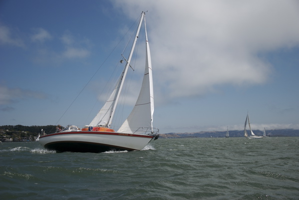 DSC_3264