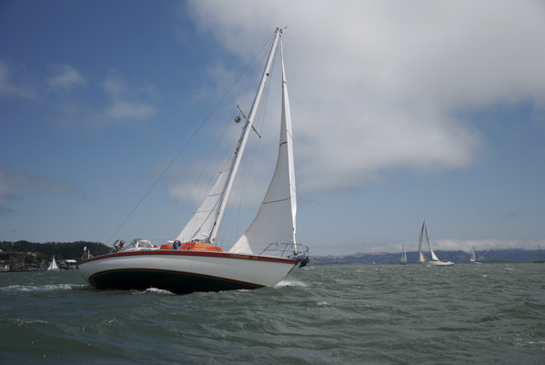 DSC_3265