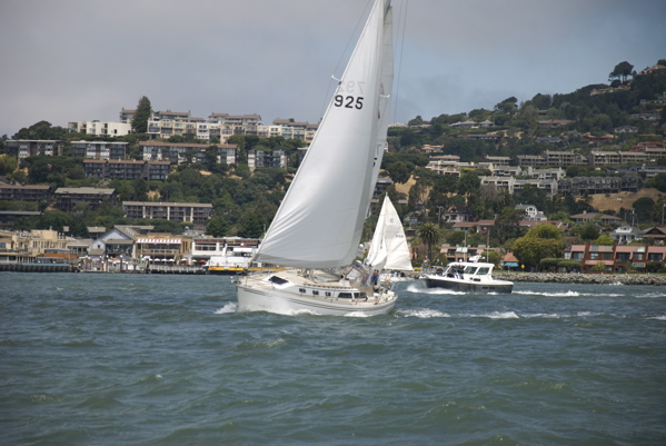 DSC_3288