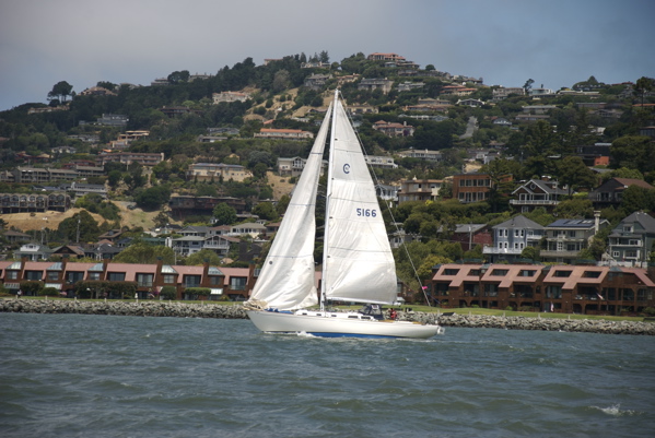 DSC_3306