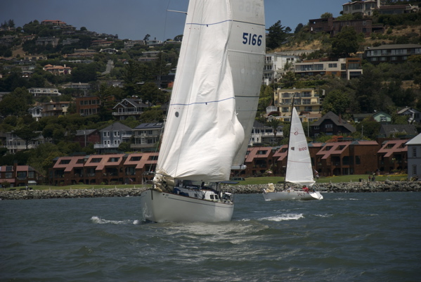 DSC_3313