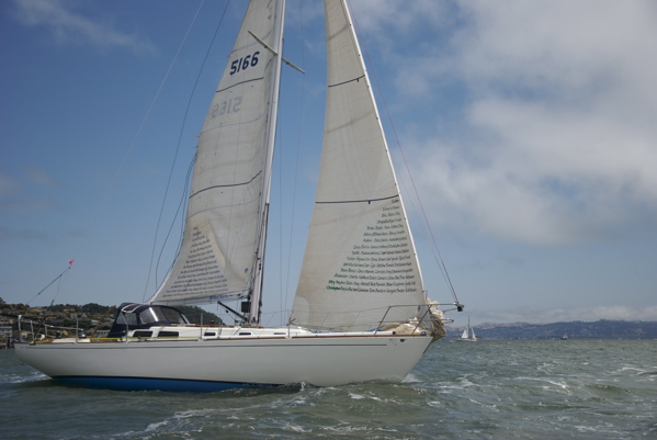 DSC_3325