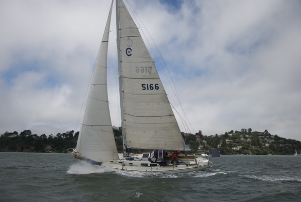 DSC_3341
