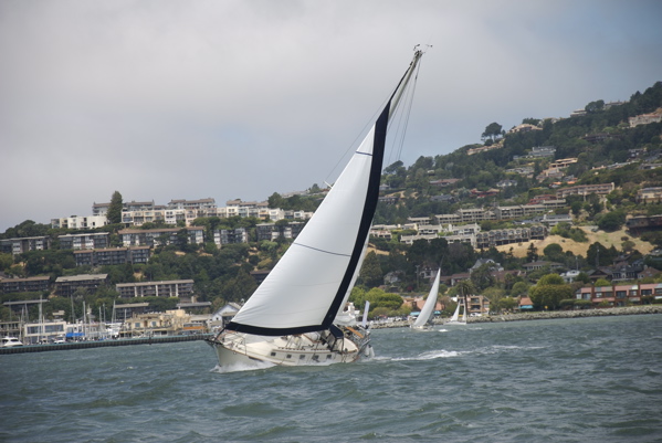 DSC_3398