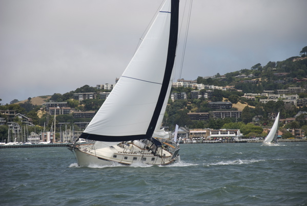 DSC_3399