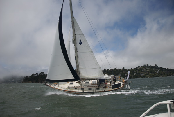 DSC_3405