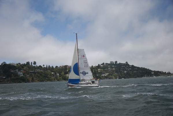 DSC_3447