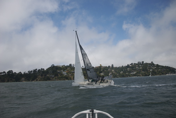 DSC_3460