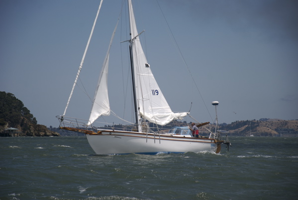 DSC_3498
