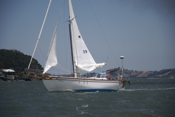 DSC_3499