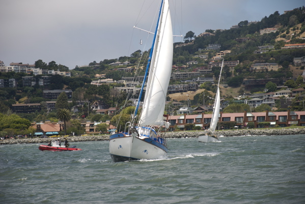 DSC_3502