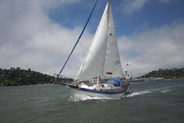 DSC_3510
