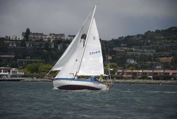 DSC_3554