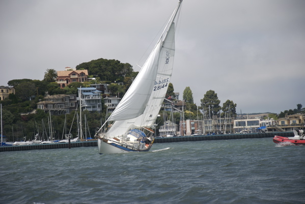 DSC_3560