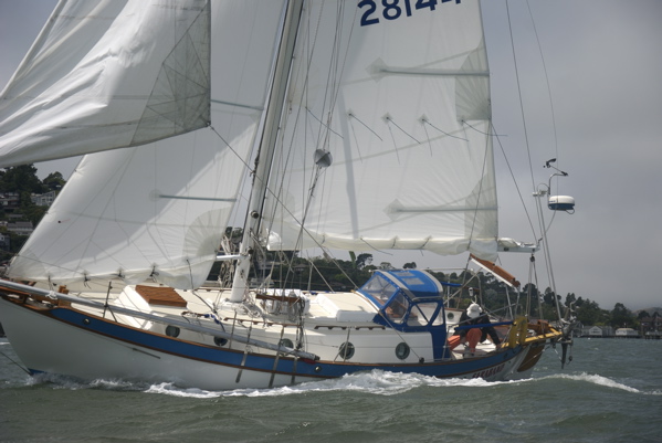 DSC_3564