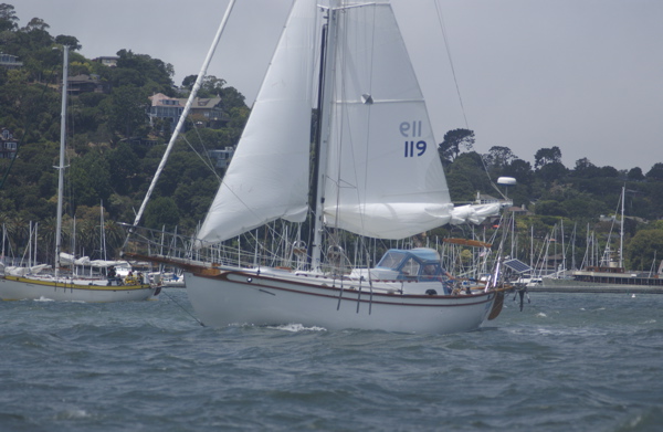 DSC_3251