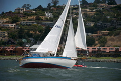 DSC_3543