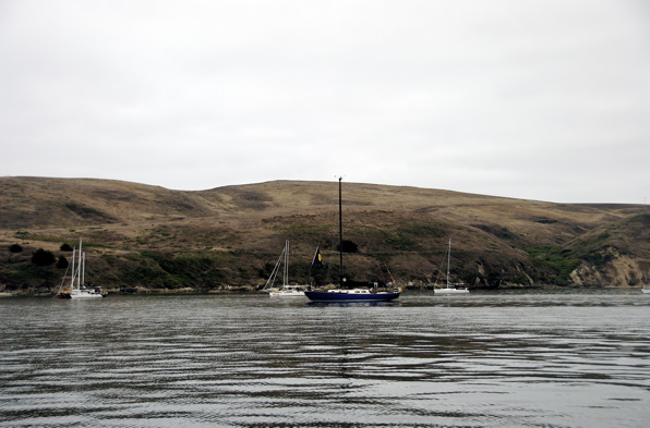 DSC_4731