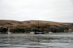 DSC_4731