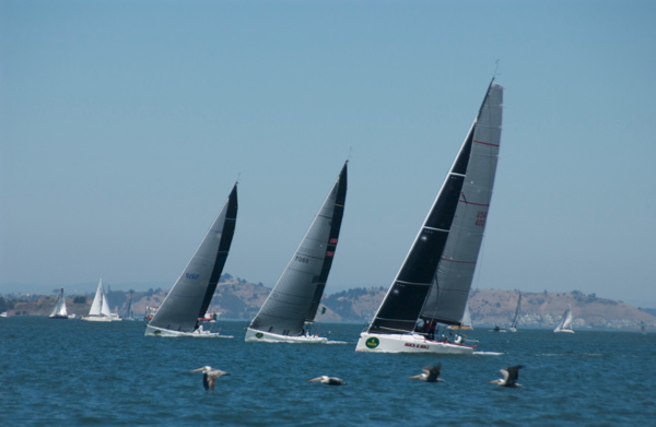 DSC_1262