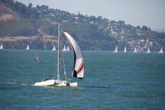 DSC_6251