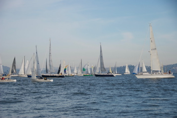 DSC_8611