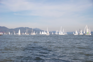 DSC_8583