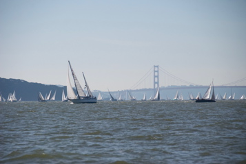 DSC_8645