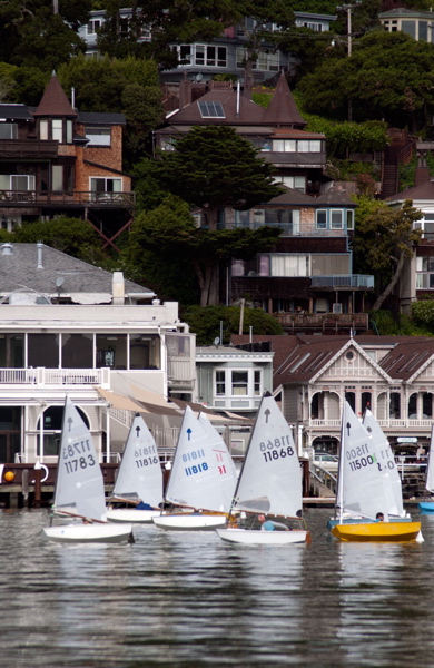 DSC_2336 (1)