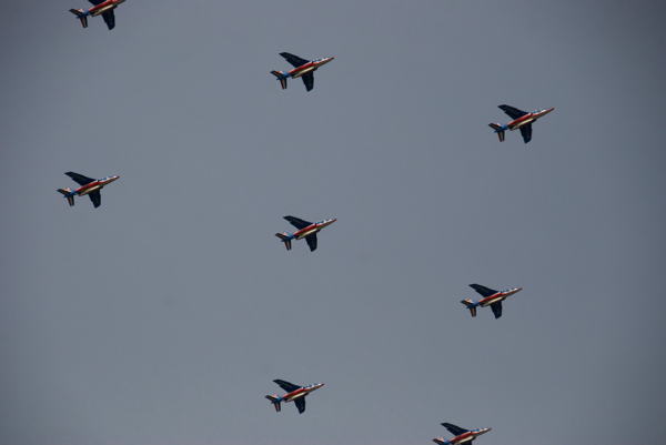 DSC_1296