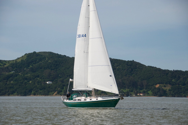 DSC_1124