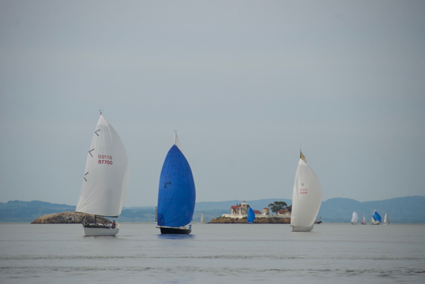 DSC_1240